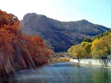 管家婆黑白马报图库，冒